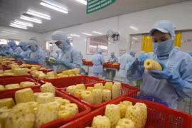 Vietnam targets 10 billion USD from fruit, vegetable exports by 2030