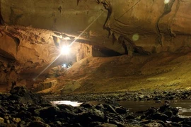 Pre-historic drawings found in Nghe An province's ancient cave