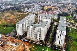 Vietnam develops comprehensive policy framework in land management: WB official 