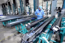 Dong Nai’s six-month FDI attraction surpasses yearly target