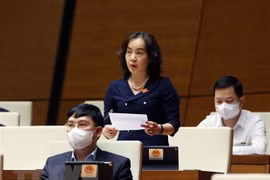 Vietnamese women's role hailed at French-speaking community