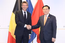 Vietnam, Belgium agree to bolster bilateral relations
