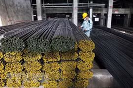 Hoa Phat Group’s steel output surpasses 5 million tonnes for first time