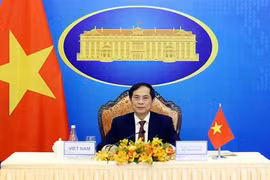 Vietnam highlights solutions for economic recovery in Mekong sub-region