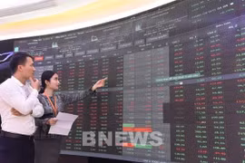 January sees largest capital injection into stock market since early 2020: SSI