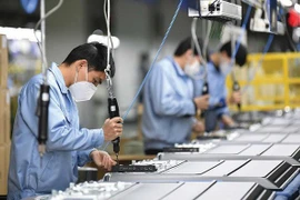 Resolution 105 helps bring foreign experts back to Vietnam