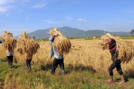 Cambodia: Agricultural exports surpass 2 billion USD in Q1