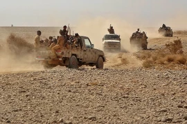  Vietnam calls for dialogue towards comprehensive political solution in Yemen 