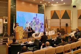 Vietnam seeks trade, investment opportunities in Africa via AFIC7