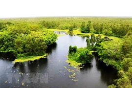 National park in Kien Giang builds digital map for fighting forest fires
