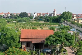 Flowers and ornamental plants are Hanoi’s key agriculture products