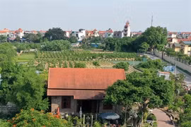 Flowers and ornamental plants are Hanoi’s key agriculture products
