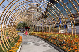 "Free & easy" tours to thrive in 2021