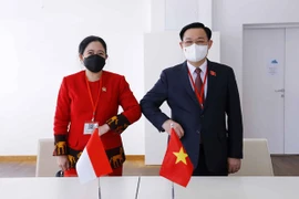 Vietnamese, Indonesian parliaments strengthen cooperation