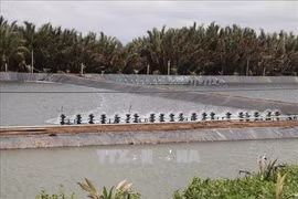 Tra Vinh to expand aquaculture area by 2,500 hectares to 2030