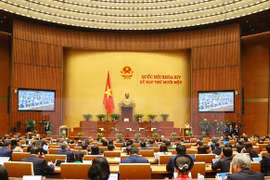 Third working day of 14th National Assembly’s 11th session 