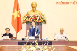 14th National Assembly contributes greatly to national success 