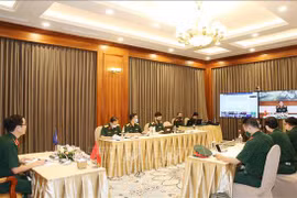Vietnam attends virtual ADSOM+ Working Group conference