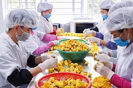 Enterprises vow to ensure sufficient goods during Tet: Ministry