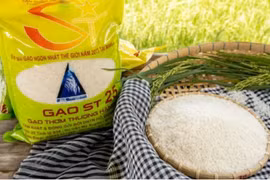 PAN Group entrusted with protection of ST24 and ST25 rice trademarks in int'l markets