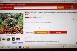 Bloomberg: Vietnam’s e-commerce growth potential alluring