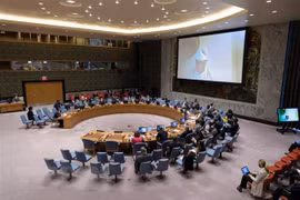 Vietnam urges countries in Sahel region to stay united against terrorism 