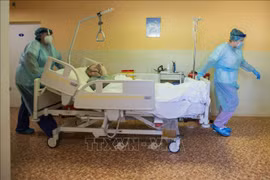 Vietnamese people in Czech set example in following anti-COVID-19 rules