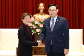 Singapore to use strengths to support Hanoi: Ambassador