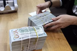Reference exchange rate down on February 22