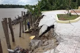 Ben Tre inaugurates sea dyke to prevent saline intrusion