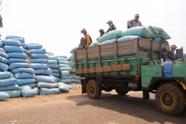 Cambodia’s agricultural product exports surge in two months