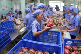 EU remains promising market for Vietnamese fruit