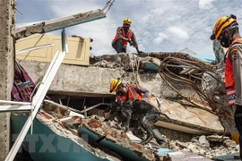 Strong earthquake strikes off Indonesia's Sulawesi island