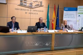 Vietnam-Spain ties stand good chance to thrive further: Ambassador