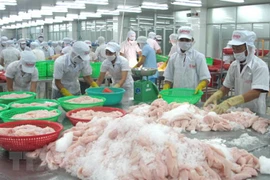 Kien Giang: goods exports up 11 percent 