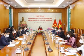 Vietnamese, Lao officials hold online talks