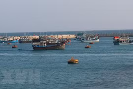 Ukrainian expert affirms international law’s role in East Sea issue 