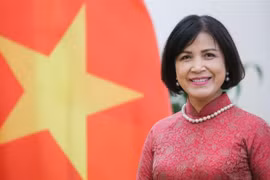 Vietnam supports, congratulates new WTO leader: Ambassador