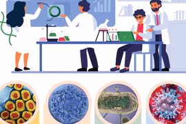 Vietnam successfully curbs many dangerous diseases