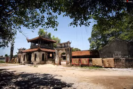 Unique dragon sculptures at Dau Pagoda