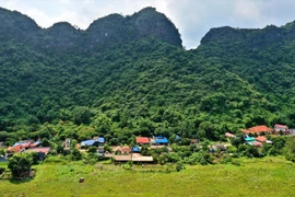 Viet Hai ancient village: A must-see destination in Hai Phong port city