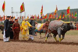 Ploughing Festival opens in Ha Nam
