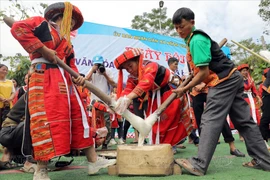 Round glutinous rice cake: Cultural delight of Pa Then ethnic group