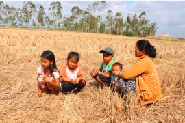 Mekong Delta faces serious challenges in water security ​