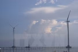 3.2 bln USD wind power plant to be built in Ca Mau