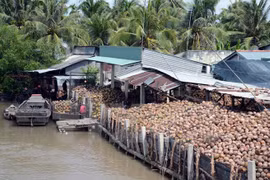 Coconut products account for 30 percent of Ben Tre’s exports