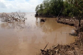 Mekong Delta localities move to address climate change 