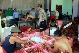 Fruit, veggie exports hit record in 2015 