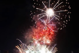 A firework performance by Da Nang-Vietnam team (Photo: VNA)