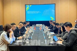 At the meeting between Vietnam, Singapore and the US on large-scale electricity export. (Photo: VNA)